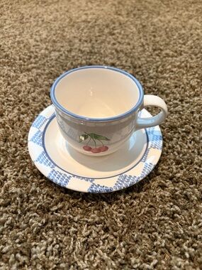 Pfaltzgraff Hopscotch Teacup with saucer